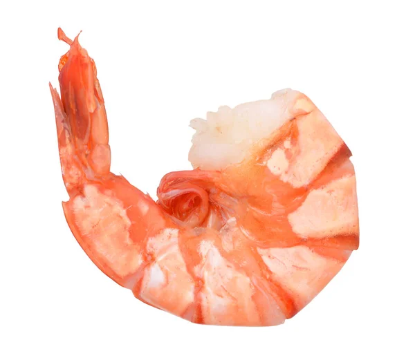 Camarão de camarão — Fotografia de Stock
