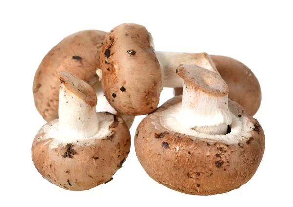 Portabella mushroom — Stock Photo, Image