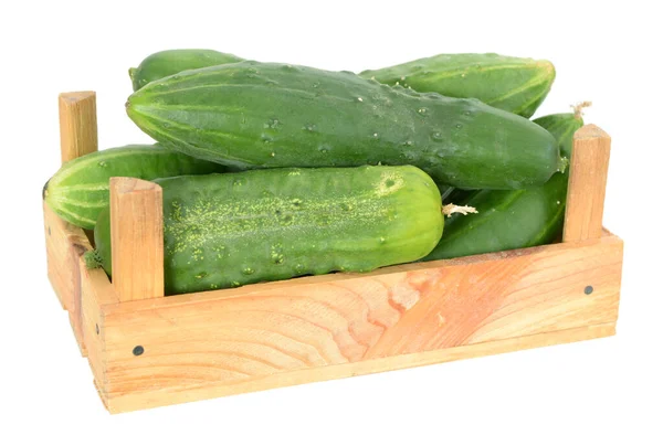 Organic cucumbers — Stock Photo, Image