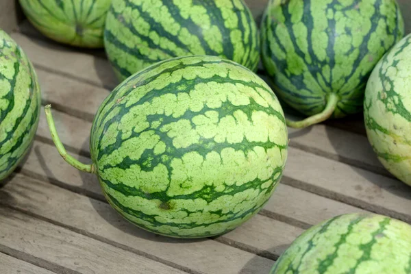 Water melon — Stock Photo, Image