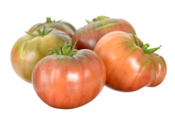 Реліквія помідор — стокове фото