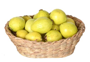Guava
