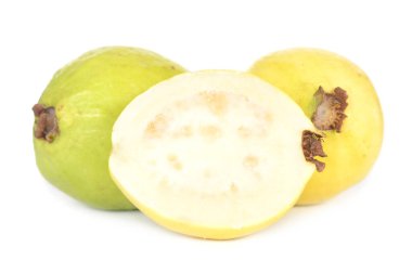Guava 