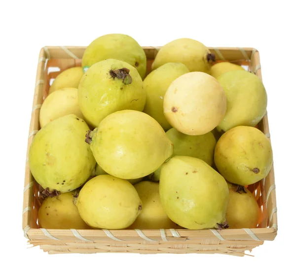 Guava — Stok fotoğraf