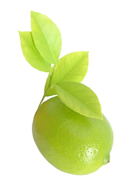 Limón fresco ecológico —  Fotos de Stock