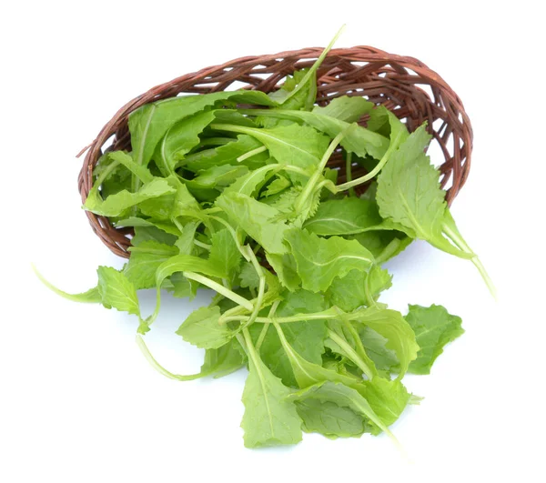 Brassica juncea leaves — Stock Photo, Image