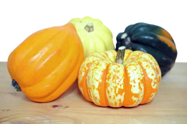 Téli squash — Stock Fotó