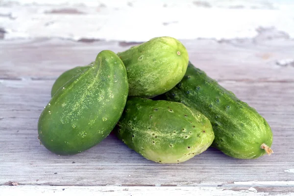 Cucumber pickle — Stock Photo, Image