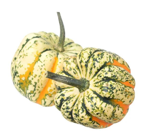 Mini pumpkins — Stock Photo, Image