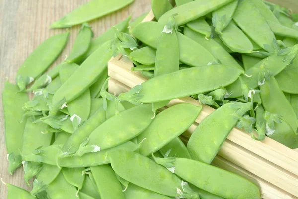 有機シュガーエンドウ豆のポッド — ストック写真