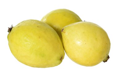 Guava