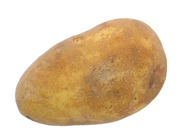 Ekologisk potatis — Stockfoto