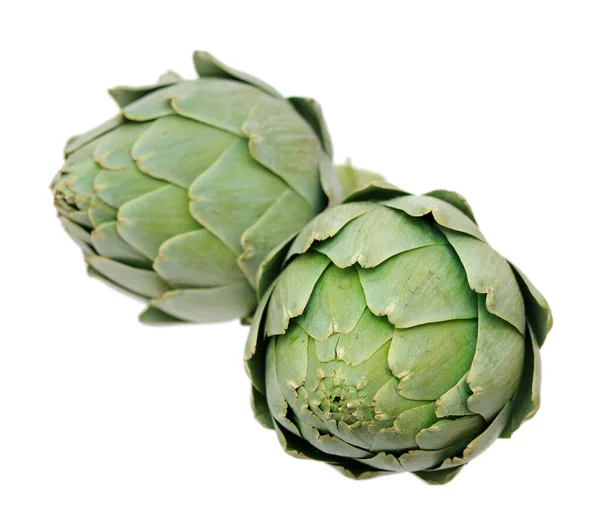 Two artichoke — Zdjęcie stockowe