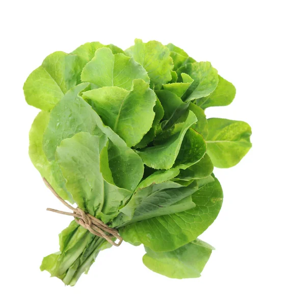 Bunch Organic Brassicaceae Gai Lan Closeup Shot — Stock Photo, Image