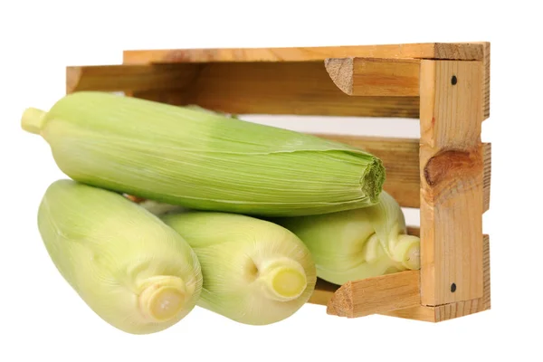 Sweet corn — Stock Photo, Image