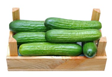 Mini salatalık