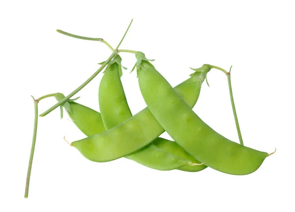 Socker ärt pods — Stockfoto