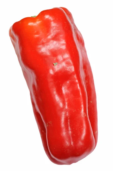 Paprika — Stockfoto