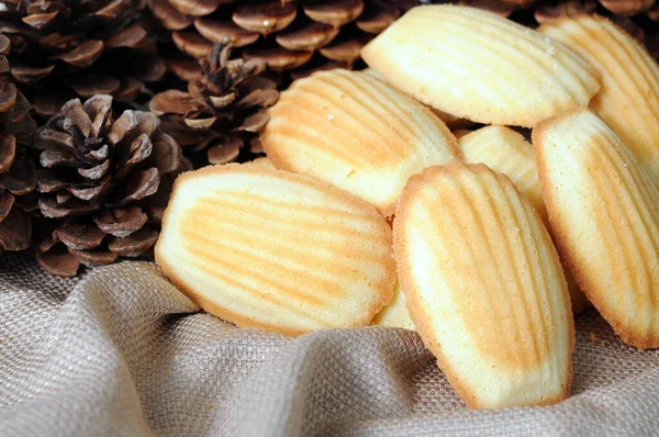 Biscoitos e pinhas — Fotografia de Stock