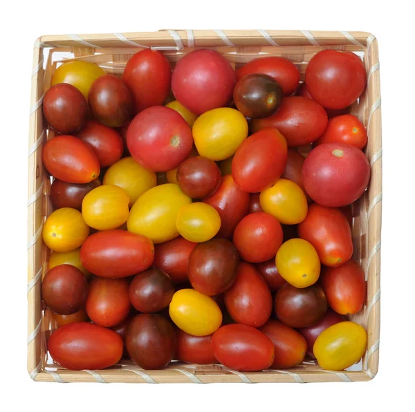 Bunte Trauben-Tomate — Stockfoto