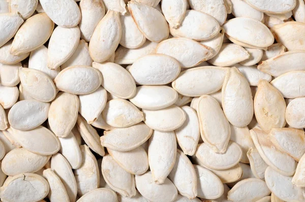 Pumpkin seeds — Stock Photo, Image