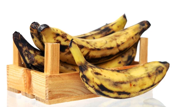 Plantain banana i — Stock fotografie