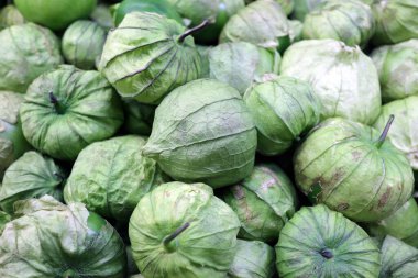 taze organik domates