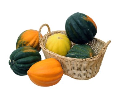 meşe palamudu kabak