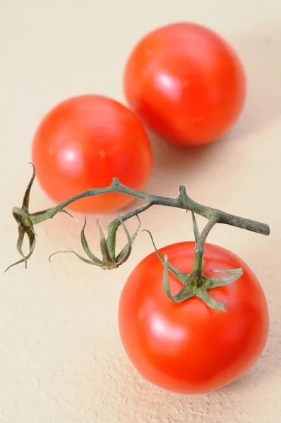 Tomaten — Stockfoto