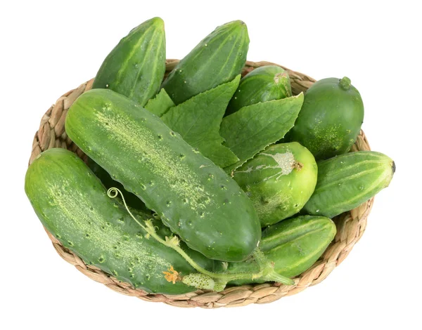 Organic pickle — Stock Photo, Image