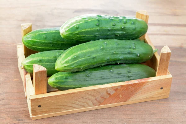 Organic cucumbers — Stock Photo, Image