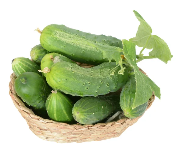 Organic pickle cucumber i — Stock Photo, Image