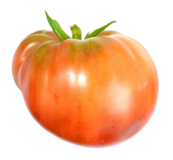Pomidor helowy — Zdjęcie stockowe