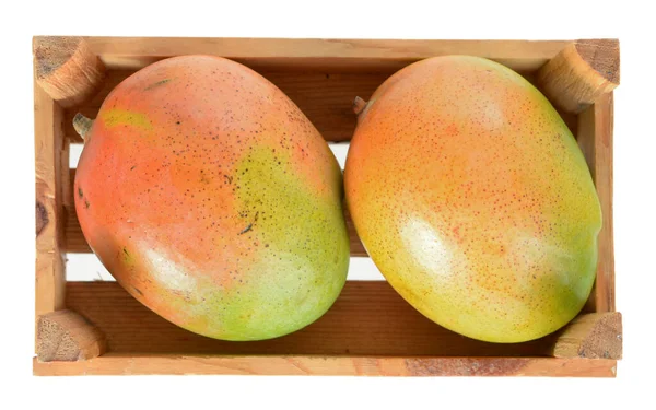 Mango mexicano — Foto de Stock