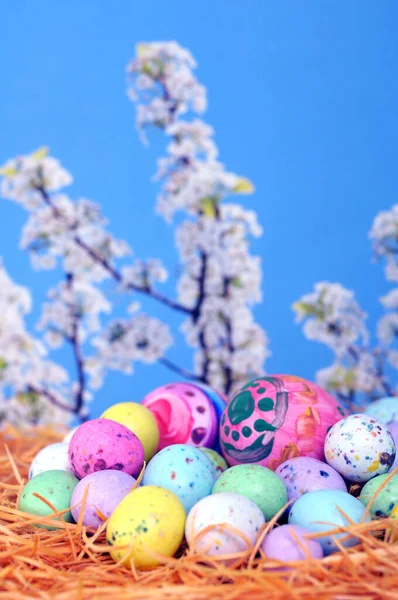 Ostereier und Bonbons — Stockfoto