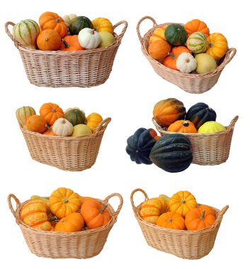 Kova içinde küçük balkabakları ve kabakları