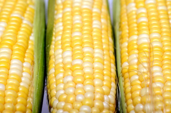 Drie verse zoete maïs — Stockfoto