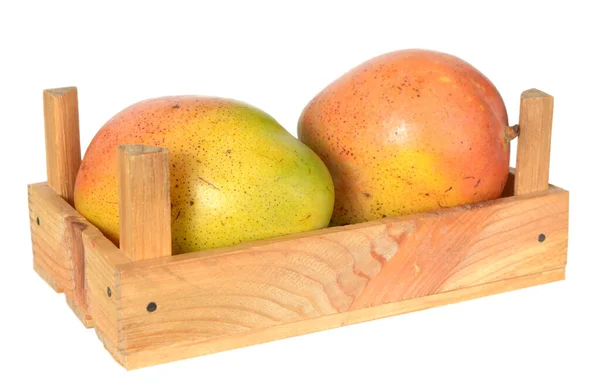 Two Mexican mango — Stock Photo, Image