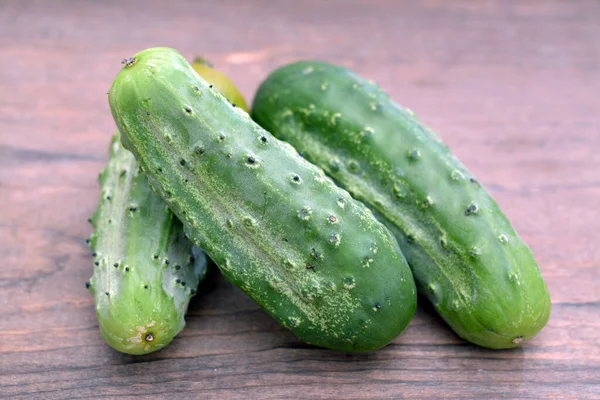 Organic pickle — Stock Photo, Image