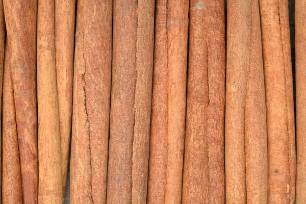 Cinnamon sticks — Stock Photo, Image