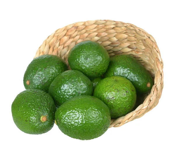 Groene avocado — Stockfoto