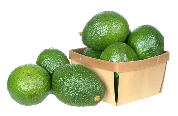 Avocado — Stockfoto