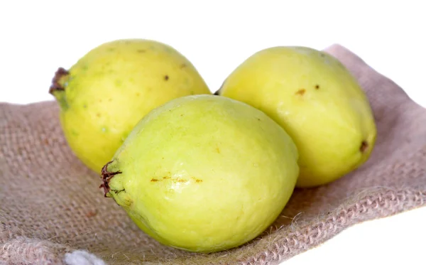 Guava — Stock Photo, Image