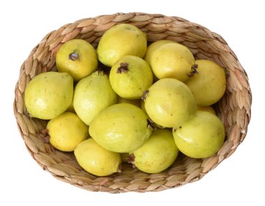 Guava