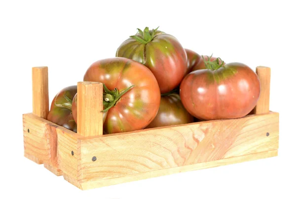 Tomates de relíquia — Fotografia de Stock