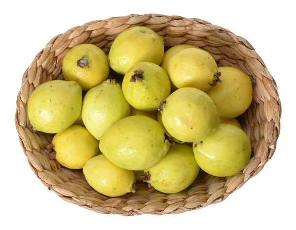 Guava — Stock Photo, Image