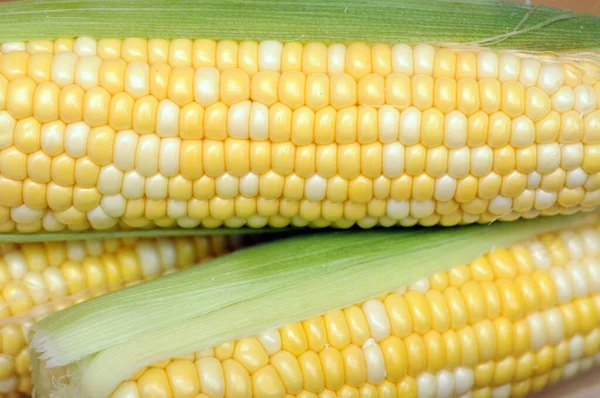 Maïs in kolf — Stockfoto