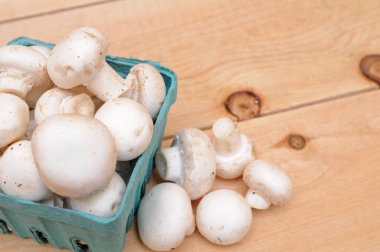 Sepette beyaz mantar 