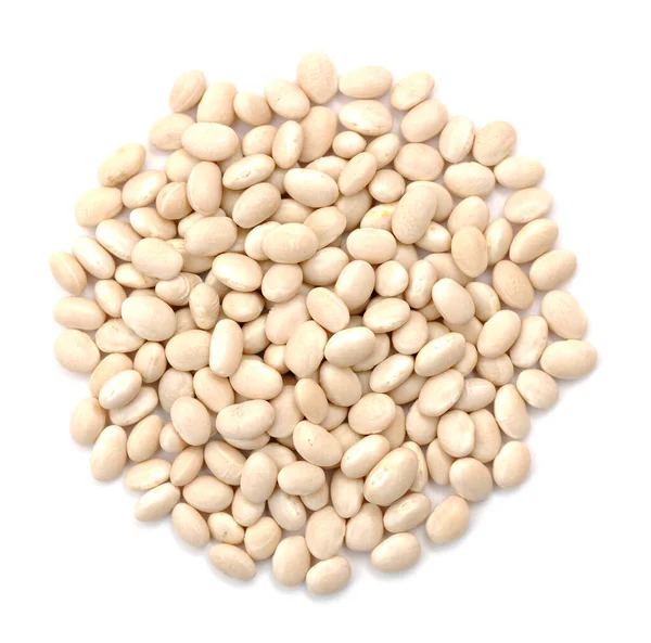 Navy beans — Stock Photo, Image