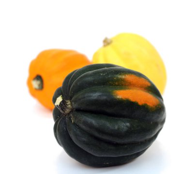 meşe palamudu kabak